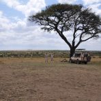 Serengeti, Africa